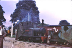 
'The Doll', AB 1641 of 1919, at Bressingham, August 1968